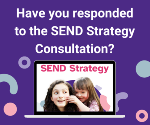 SEND consultation image