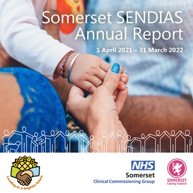 Somerset SENDIAS annual report image