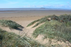 Berrow Dunes