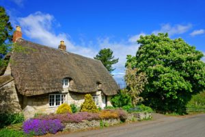 Thatched cottage