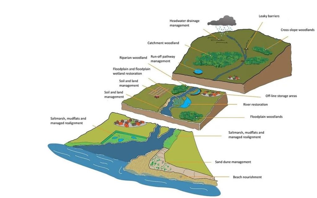 illustrated diagram of natural flood management