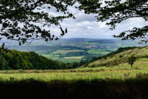 The Quantock hills