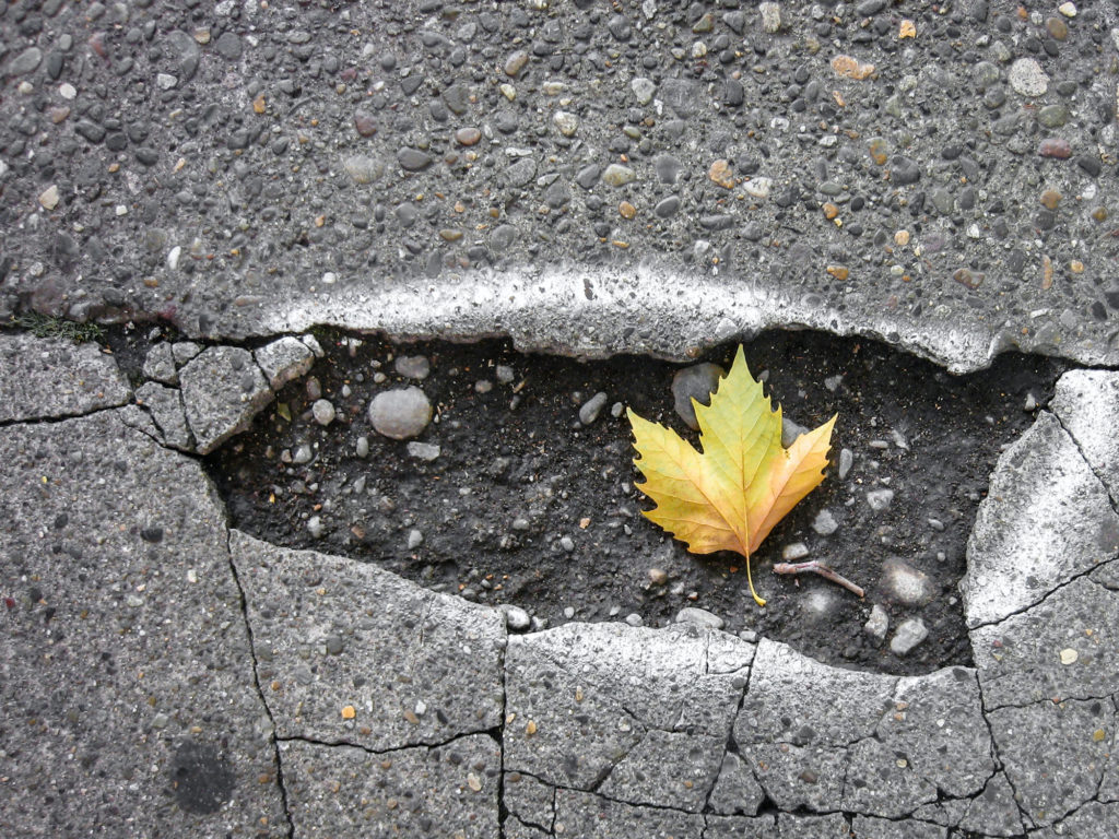 A road pothole with a leaf in it