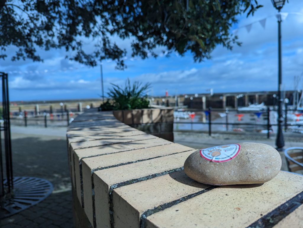 Competition pebble on a coastal wall
