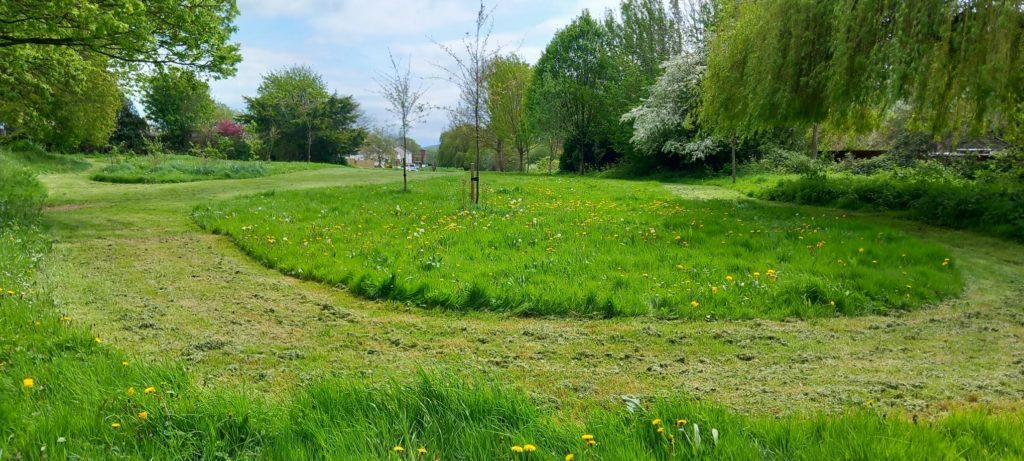 An image of an open space with an area of long grass