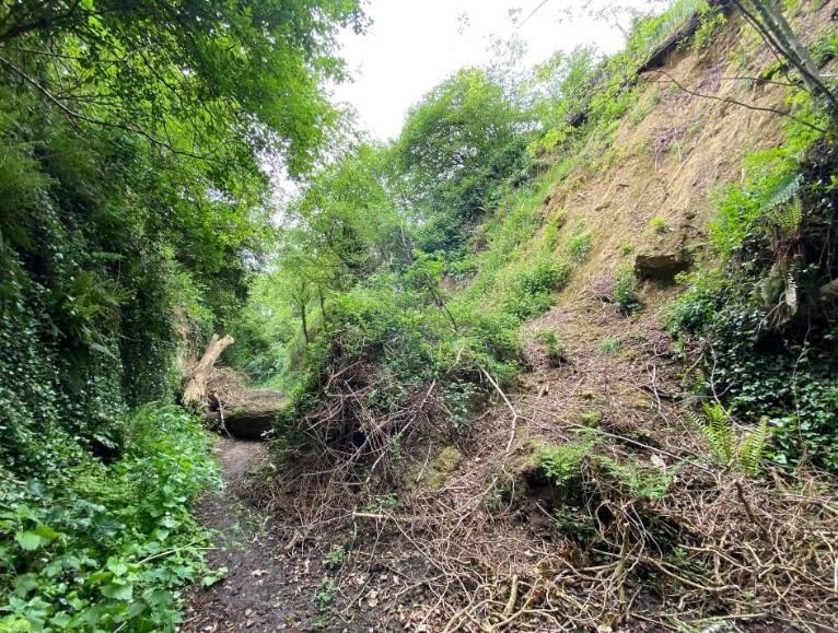 Chinnock Hollow with large landslide covering the road
