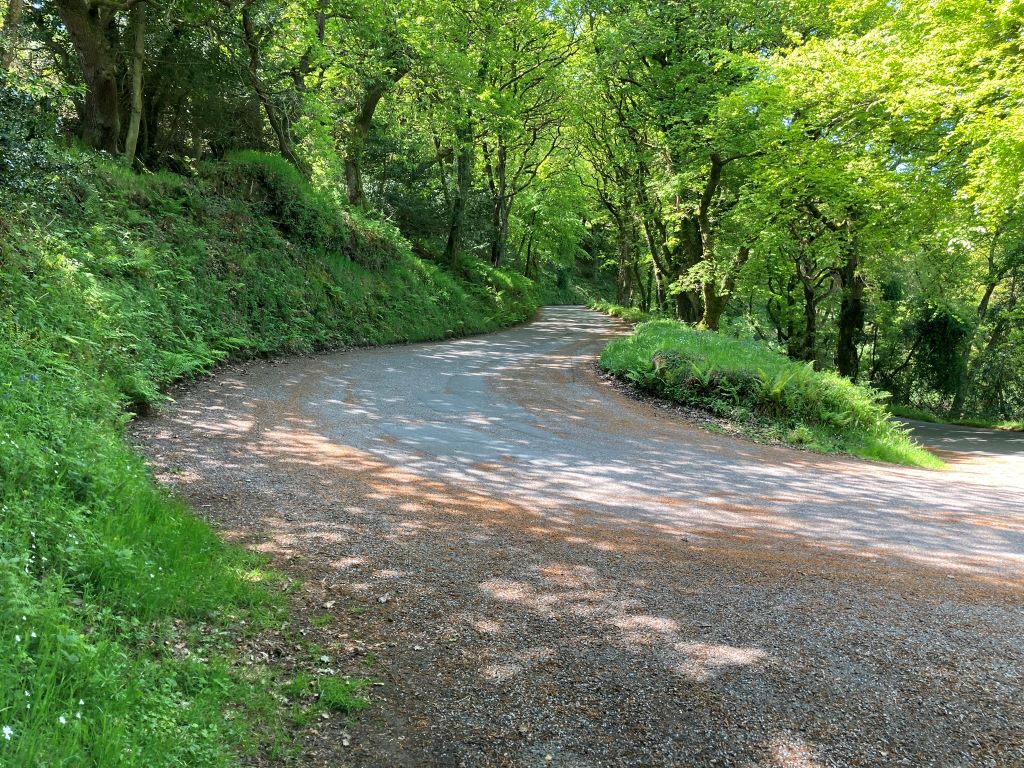 Porlock Scenic Toll Road