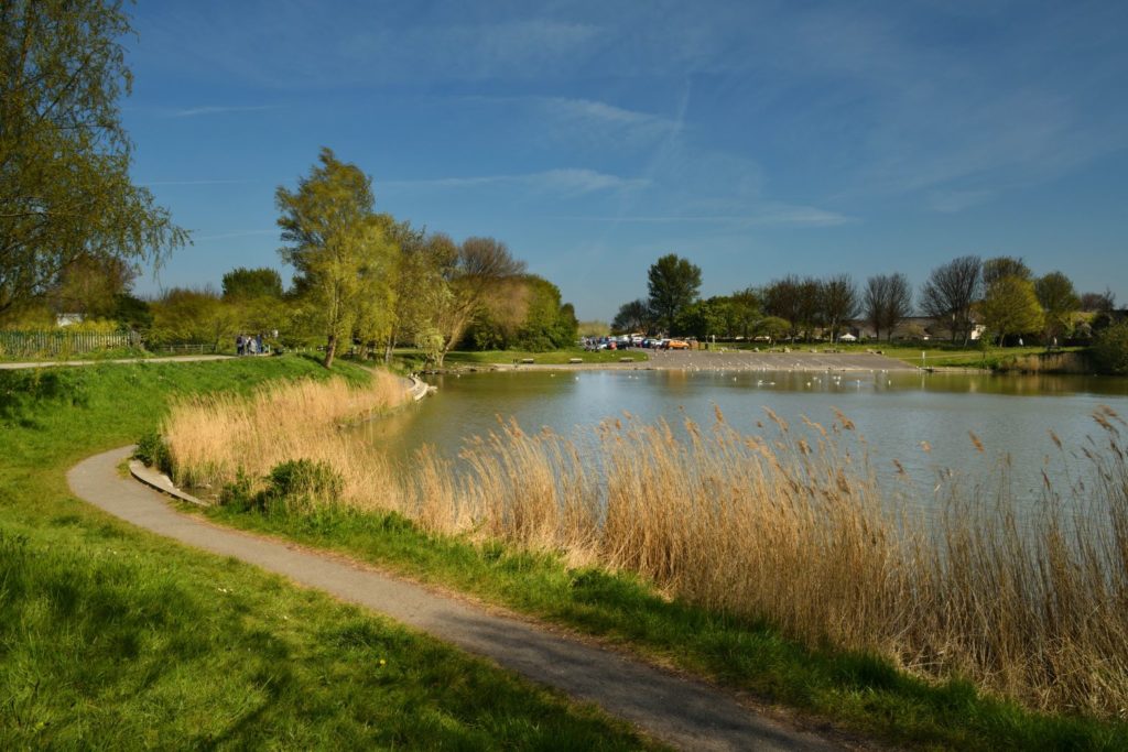 Apex Park fishing pond