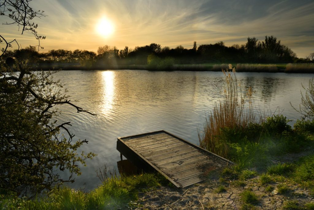 Apex Park fishing pond during sunset