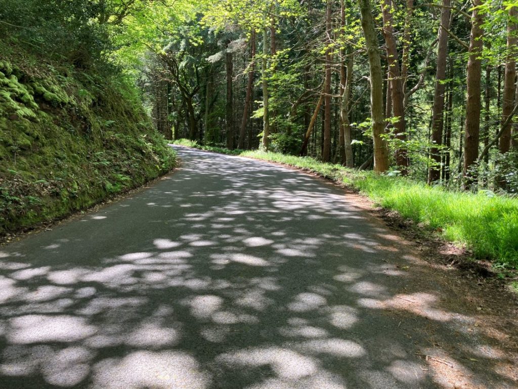 Porlock Scenic Toll Road