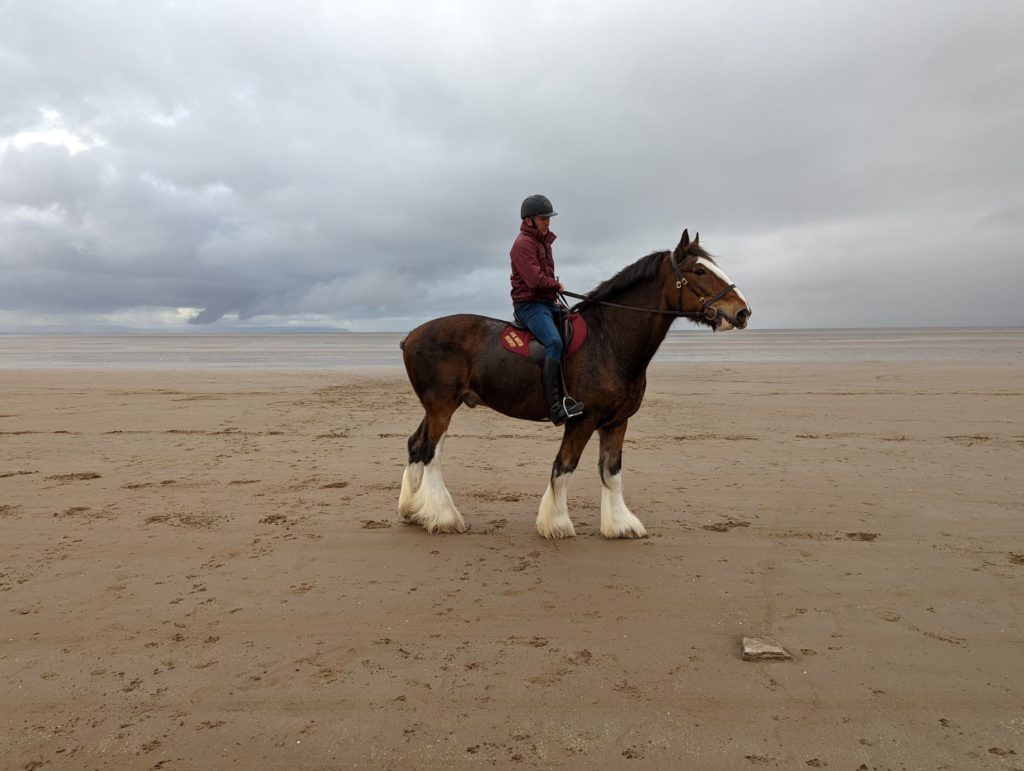 Person on horse on Berrow beach