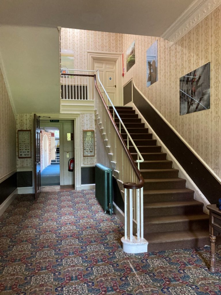 Kilve Court, interior building and staircase