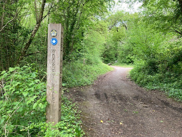 Split Rock / Milton Hill Gorge pathway with signpost to Wookey Hole