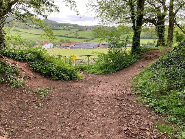 Split Rock / Milton Hill Gorge pathway