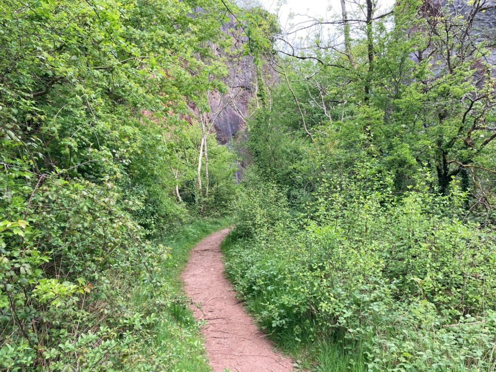 Split Rock / Milton Hill Gorge pathway through gorge
