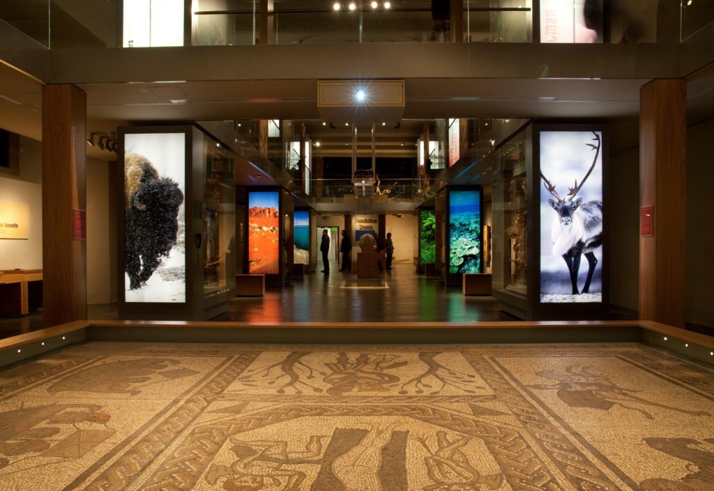 The Museum of Somerset, interior