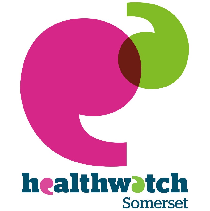 Healthwatch Somerset report showcase – Reaching out: Looking at mental ...
