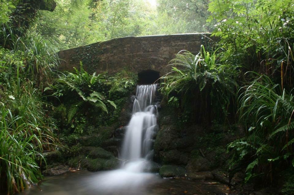 Yeovil Country Park, waterfall and bridge