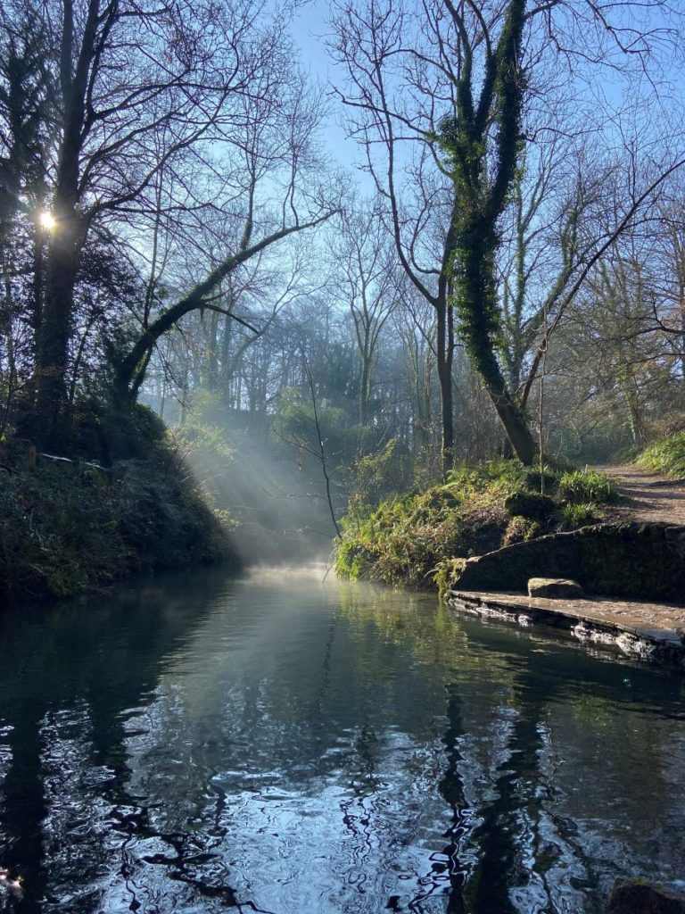 Yeovil Country Park, woodlands and waterways