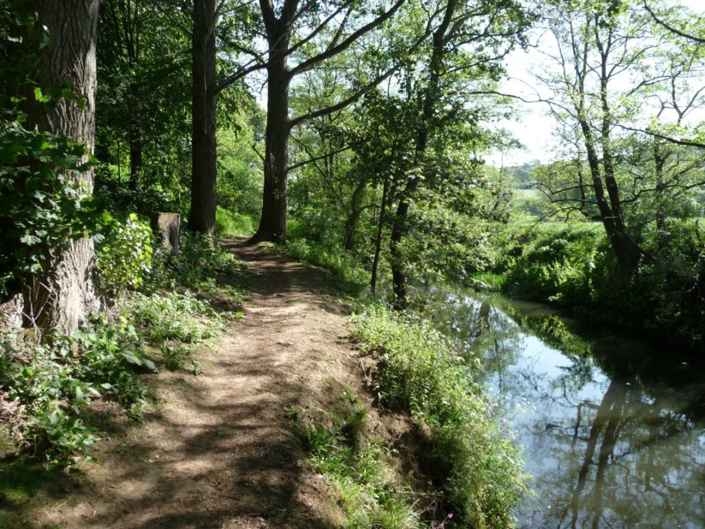 Yeovil Country Park, woodland walk