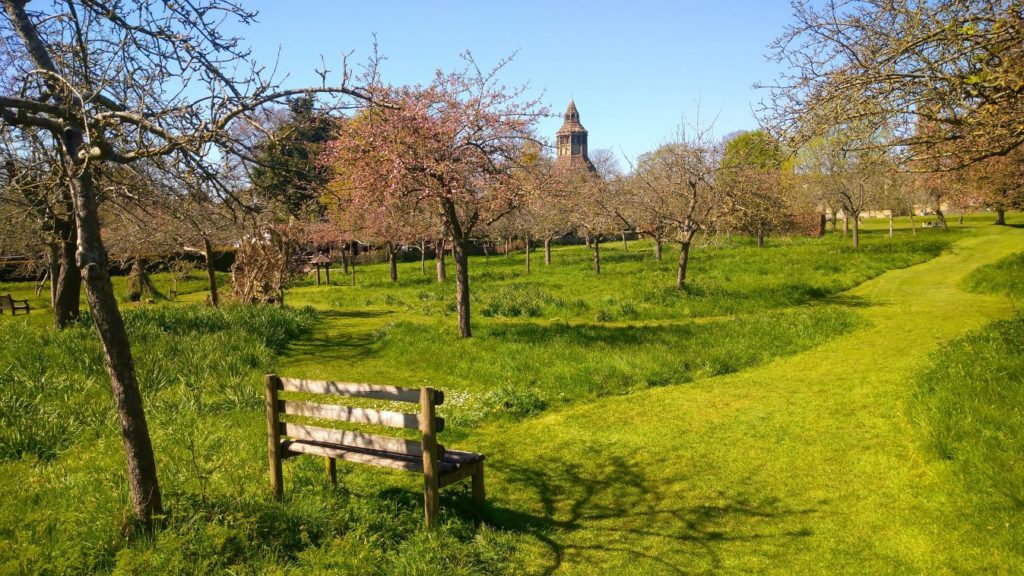 Glastonbury Abbey, exterior grounds