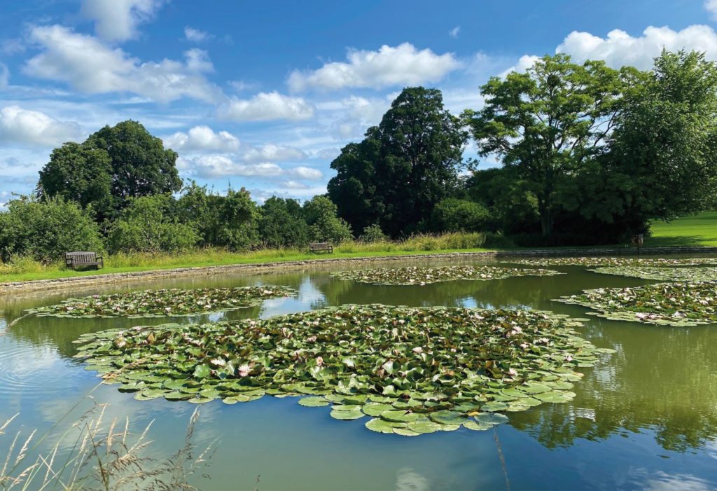Glastonbury Abbey, exterior grounds including pond