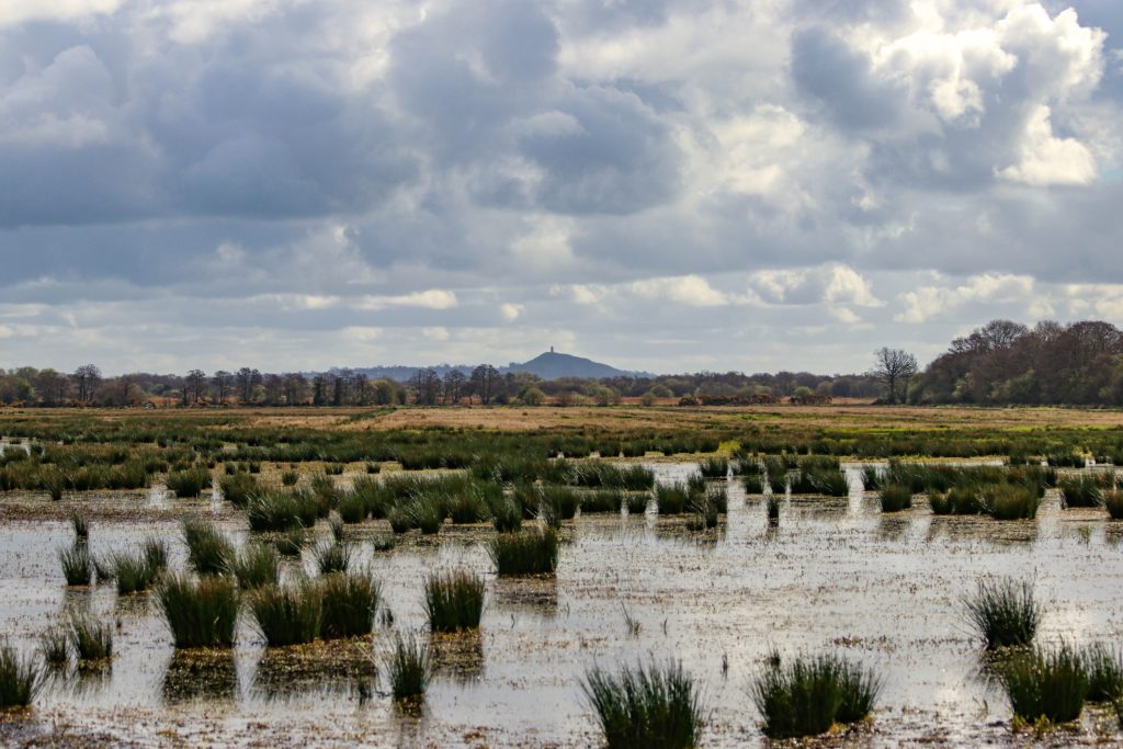 Photo of the flooded Levels and Moors