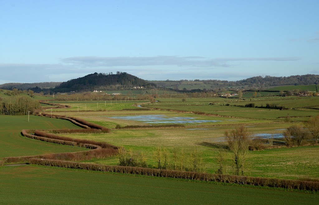 Image of fields with trees and hills in the distance