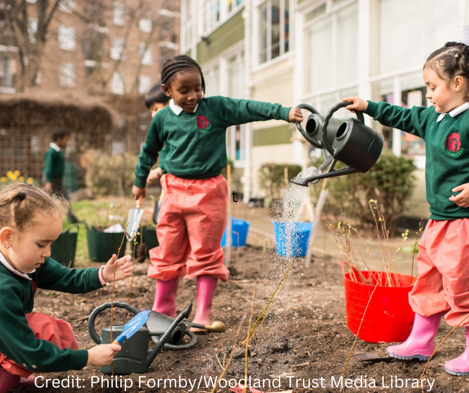 Young children watering a freshly planted tree