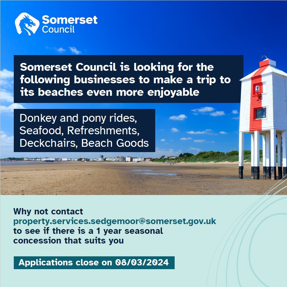 Somerset Council poster advertising beach businesses