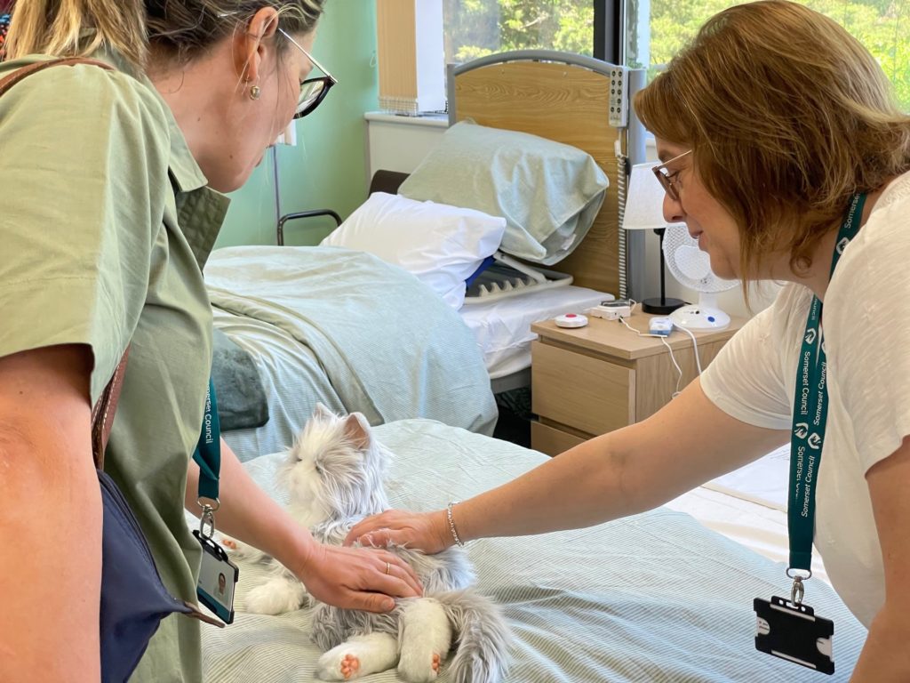 Two people stroking a toy cat.