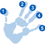 A blue handprint. Each finger contains a number, from one on the thumb to five on the little finger