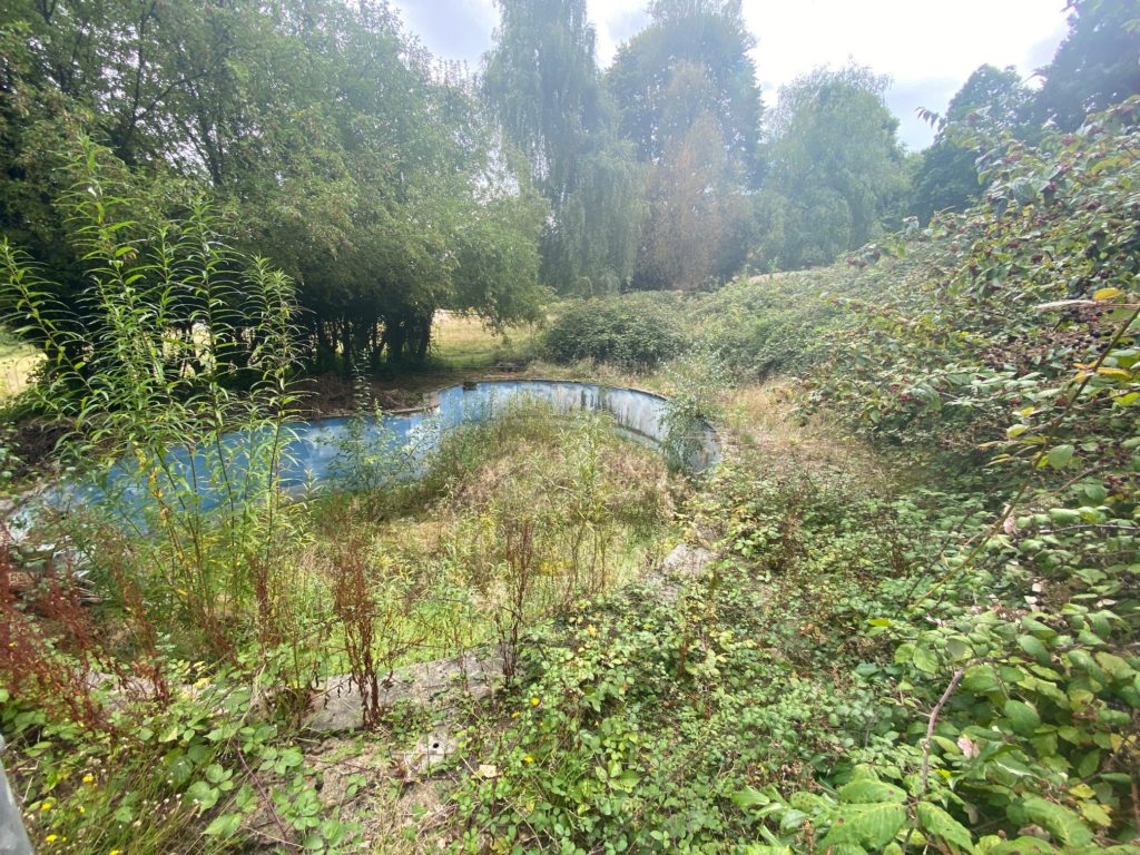 Alfoxton Park House garden