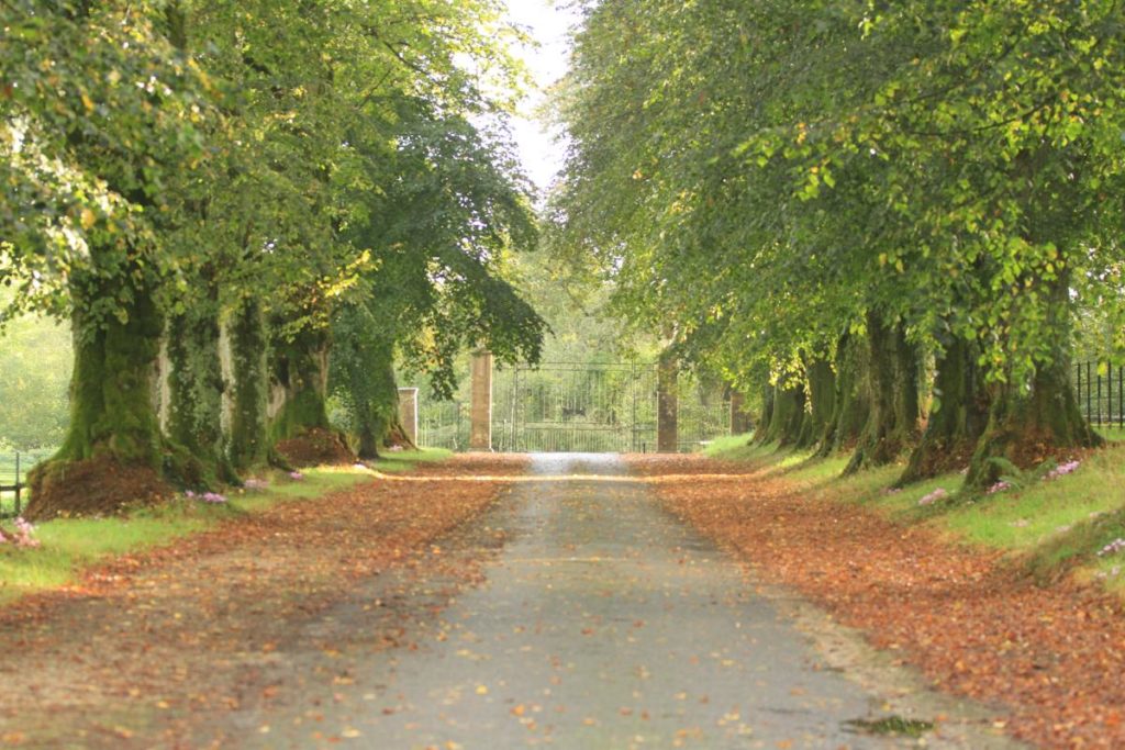 Forde Abbey exterior