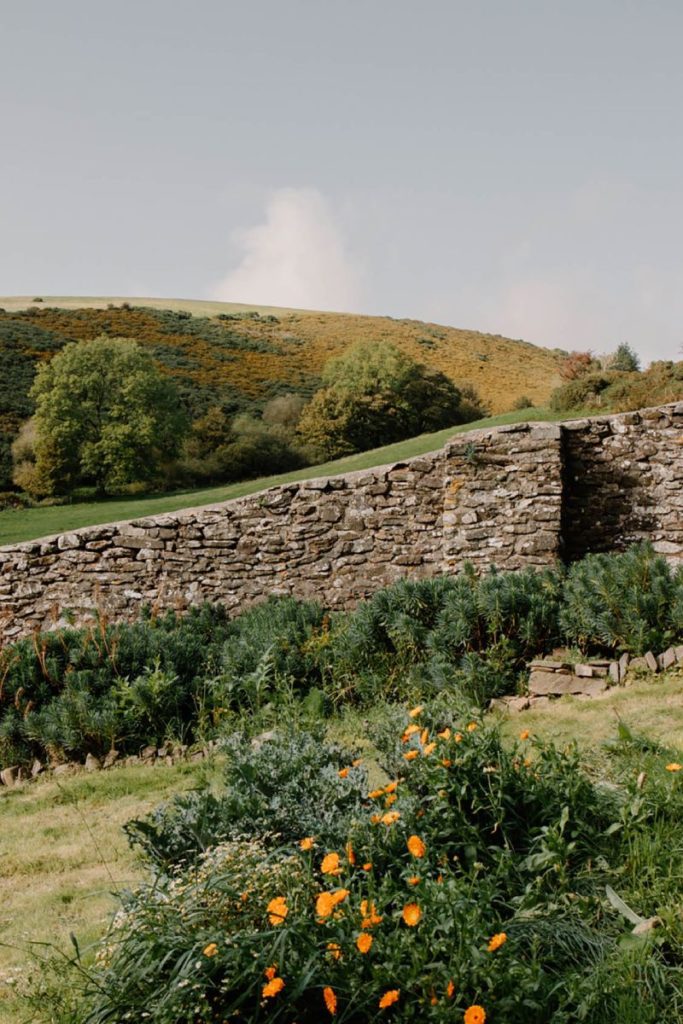 View from Oare House kitchen of garden