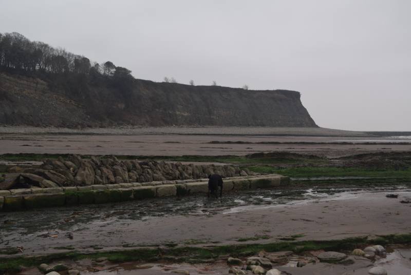 St Audrie’s Bay Beach, exterior