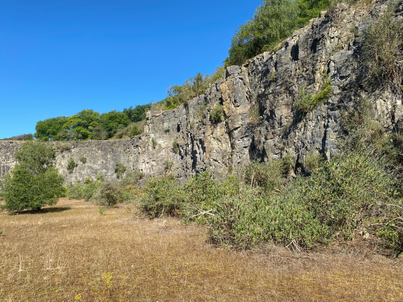 Cloford Quarry, exterior