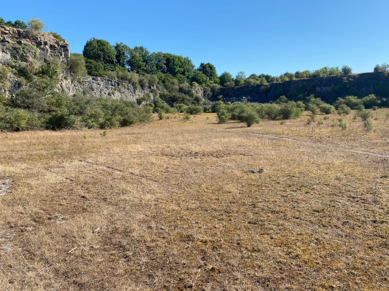 Cloford Quarry, exterior