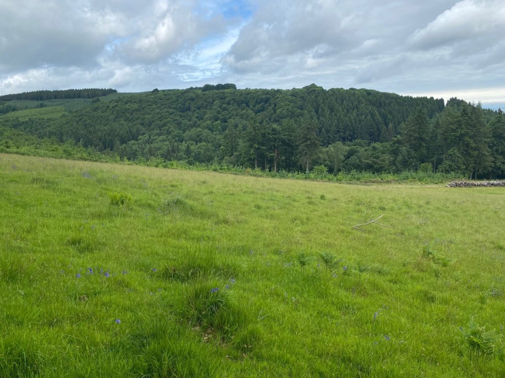 Combe Sydenham Country Park, exterior