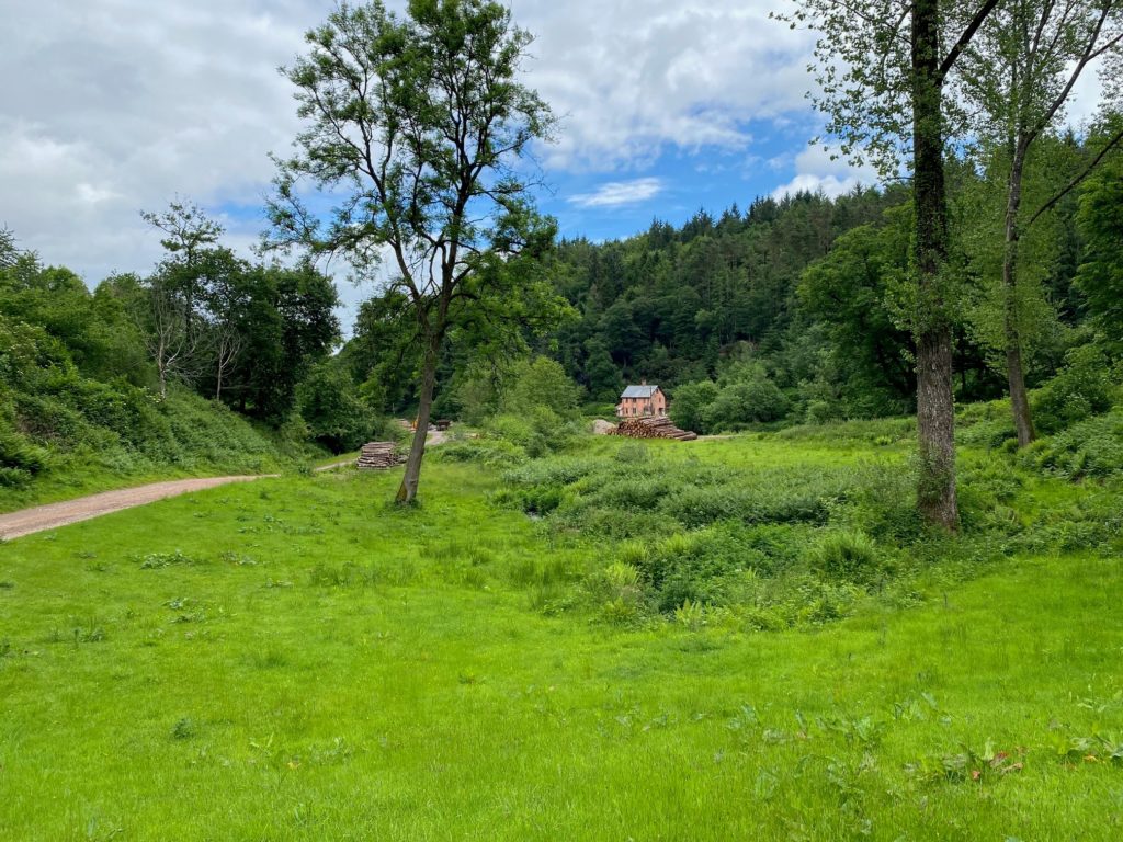 Combe Sydenham Country Park, exterior