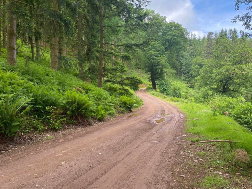 Combe Sydenham Country Park, exterior