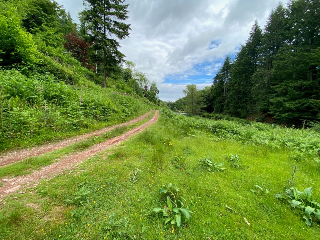 Combe Sydenham Country Park, exterior