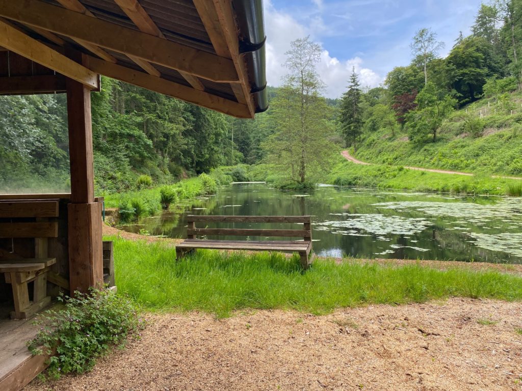 Combe Sydenham Country Park, exterior