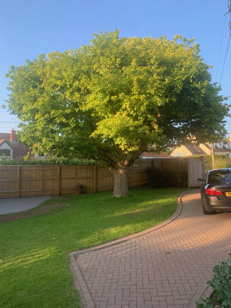 North Down Close, exterior