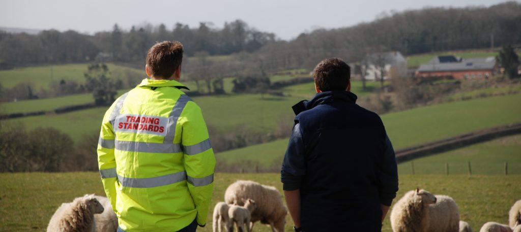 A Heart of the South West Trading Standards Officer and farmer overlooking fields with sheep.