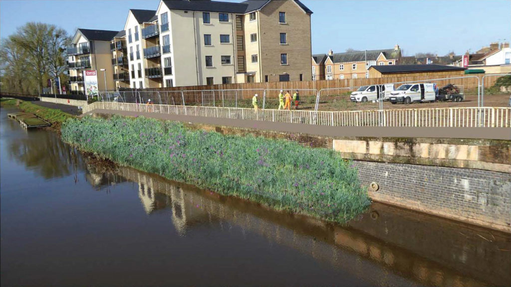 Visualisation of a revetment placement within the River Tone.