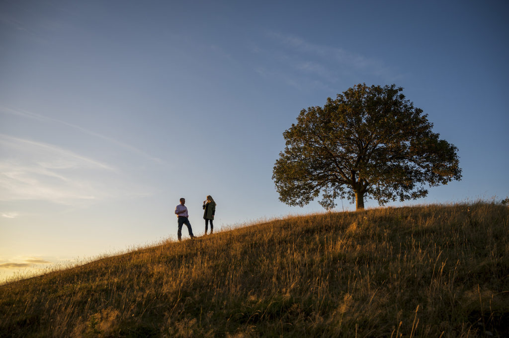 Burrow Hill Farm, exterior