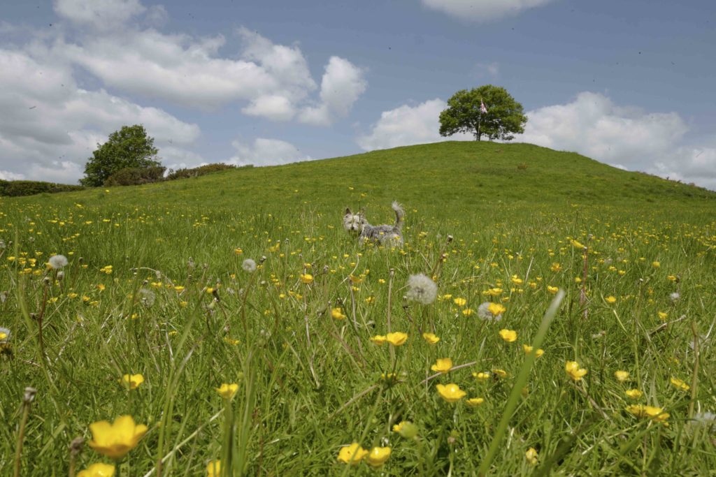 Burrow Hill Farm, exterior