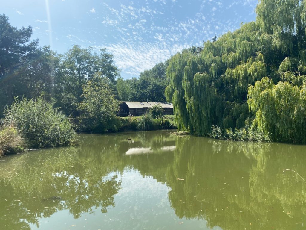 Burrow Hill Lodge, exterior