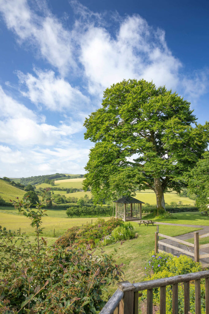 Large tree beside a small gazebo and picnic bench, overlooking rolling countryside under a partly cloudy sky.